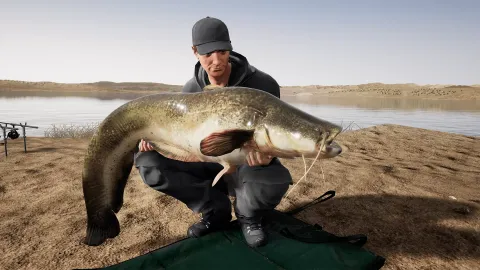 3_-5201010.webp 3_-5201010.webp