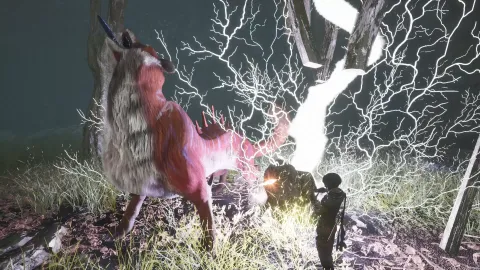 3_-5201675.webp 3_-5201675.webp