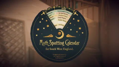 5_-5202355.webp 5_-5202355.webp