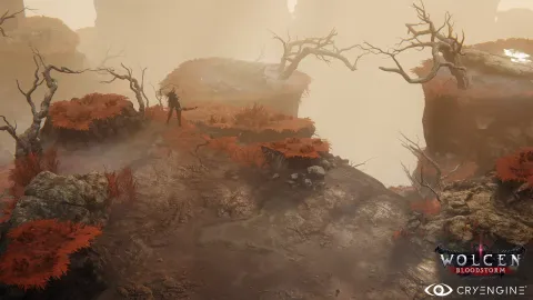 2_-5202755.webp 2_-5202755.webp