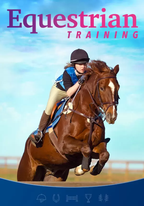 Equestrian Training