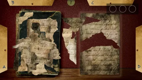 3_-5204594.webp 3_-5204594.webp